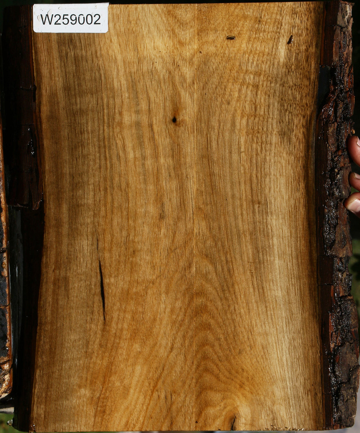 Figured Persimmon Live Edge Lumber