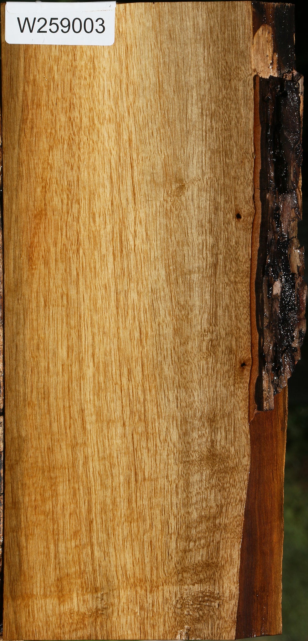 Figured Persimmon Live Edge Lumber