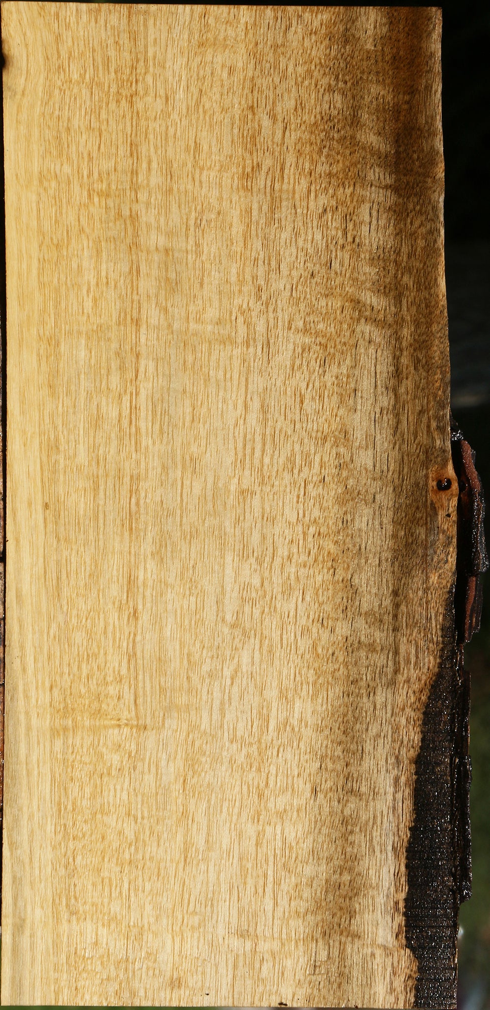 Figured Persimmon Live Edge Lumber
