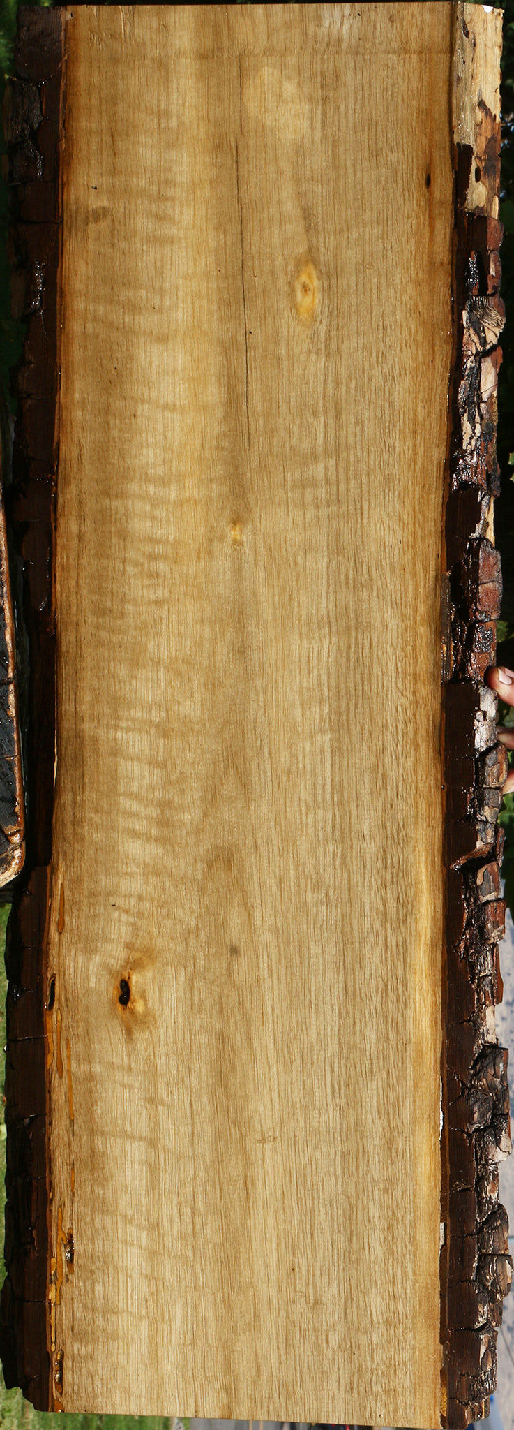 Figured Persimmon Live Edge Lumber