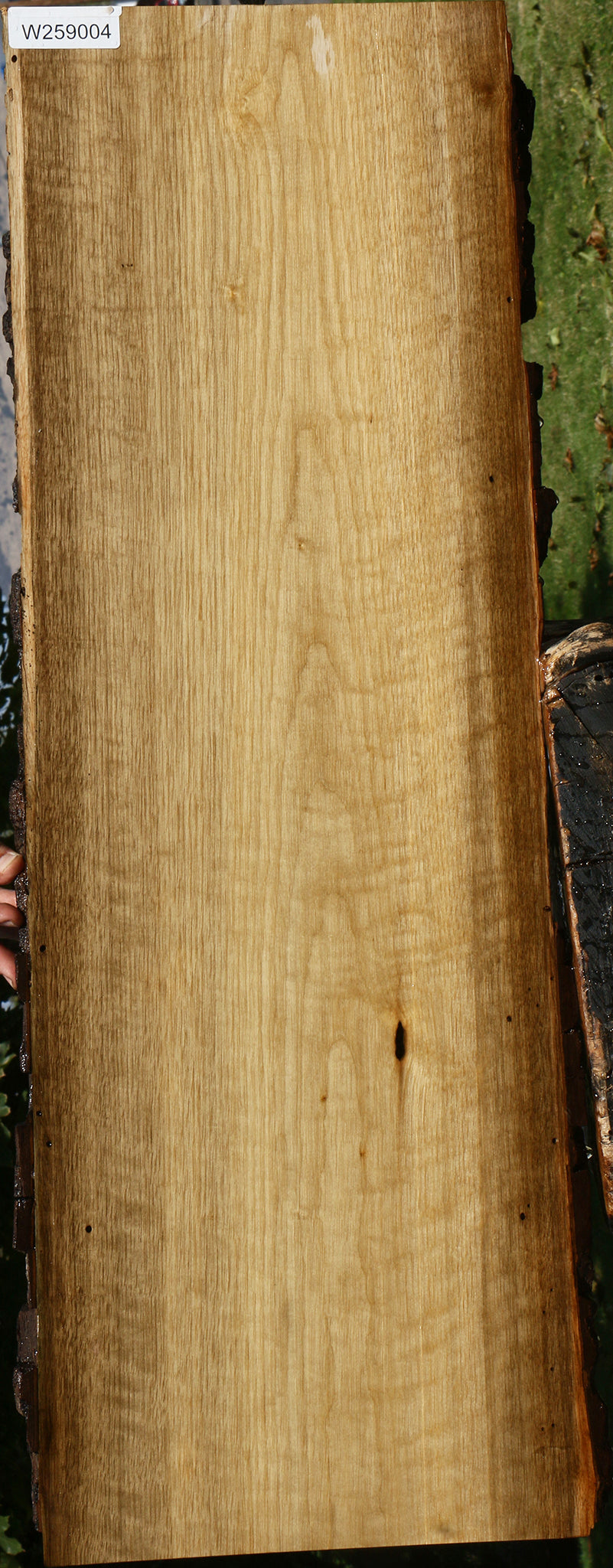 Figured Persimmon Live Edge Lumber