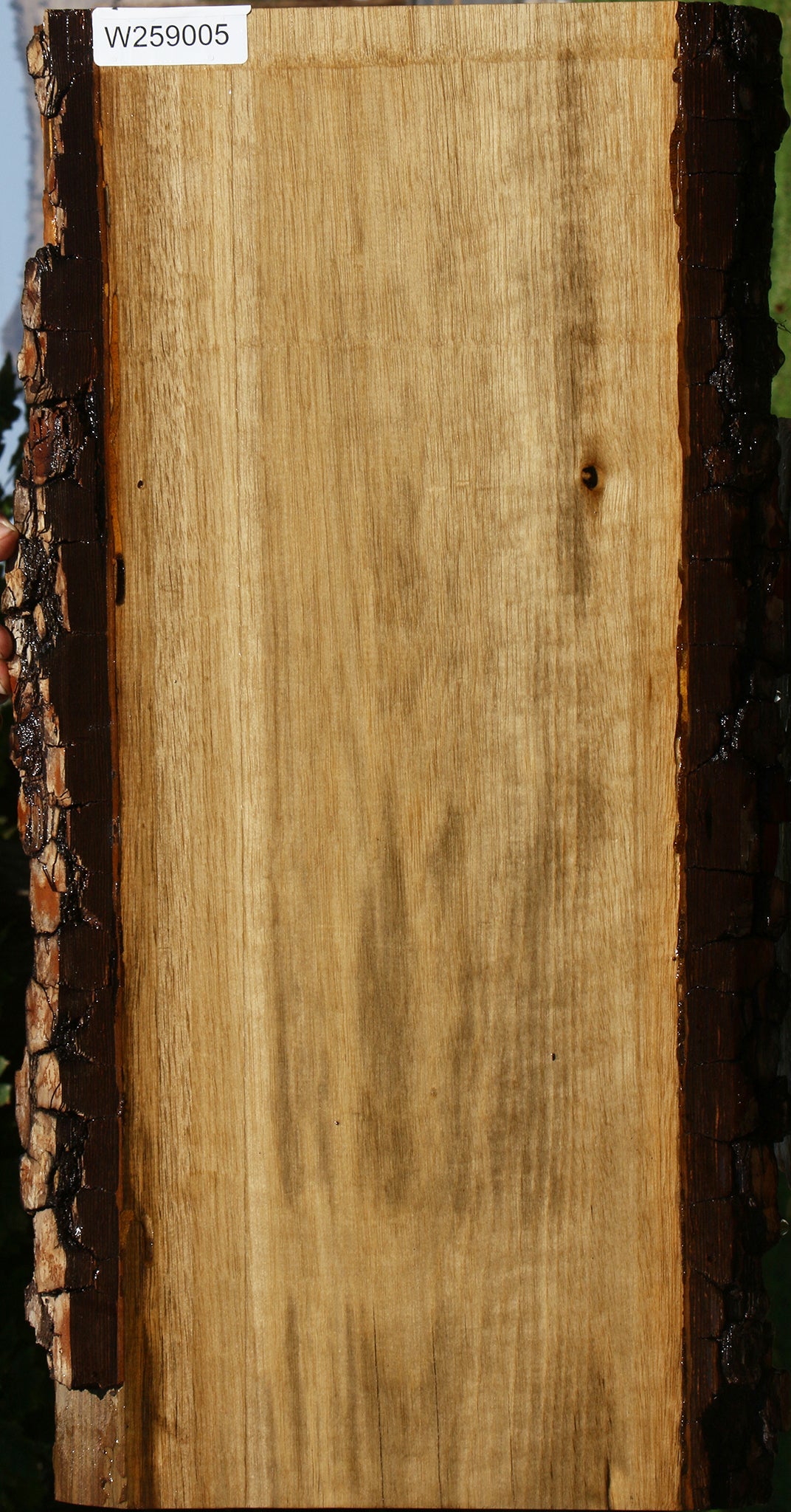 Figured Persimmon Live Edge Lumber
