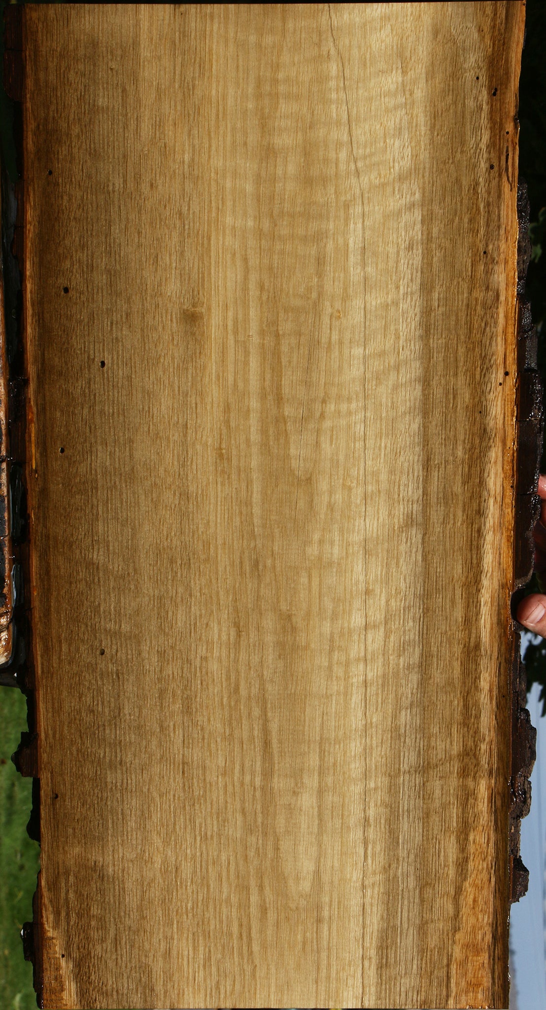 Figured Persimmon Live Edge Lumber