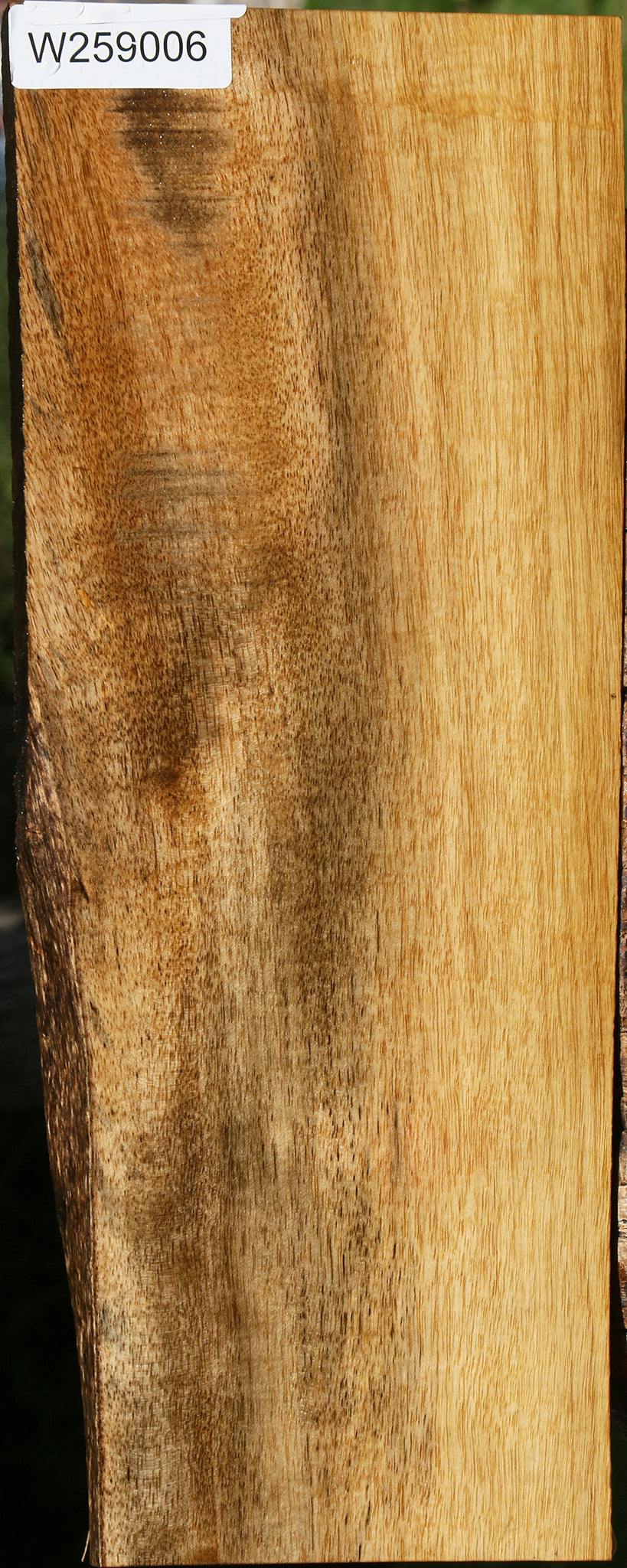 Figured Persimmon Live Edge Lumber