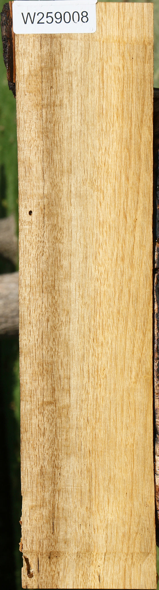 Persimmon Live Edge Lumber
