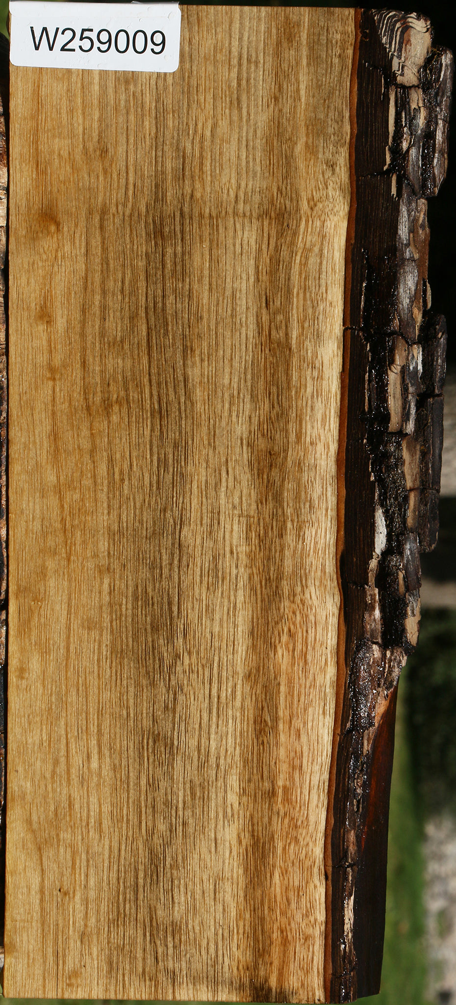Persimmon Live Edge Lumber