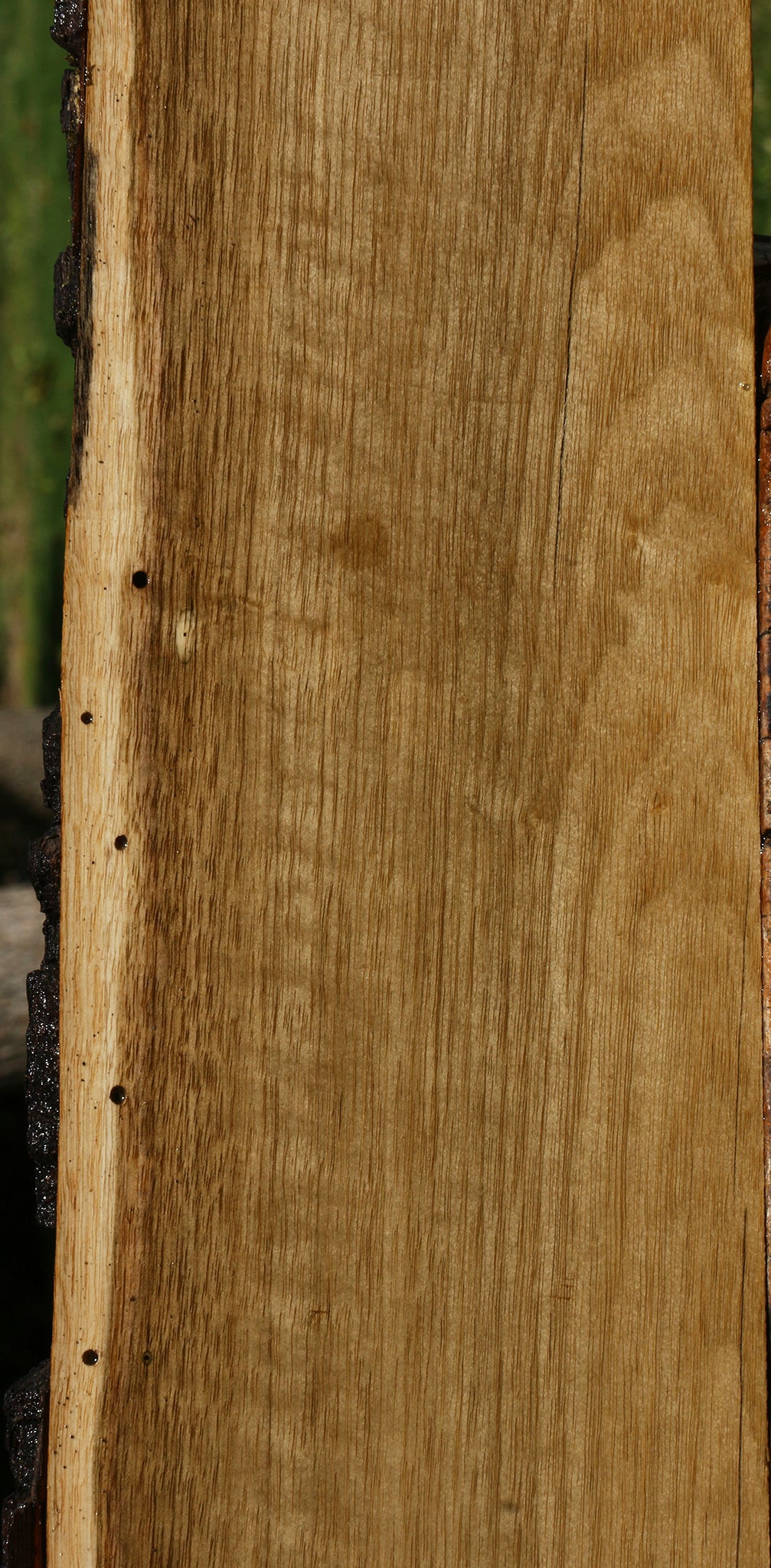 Figured Persimmon Live Edge Lumber