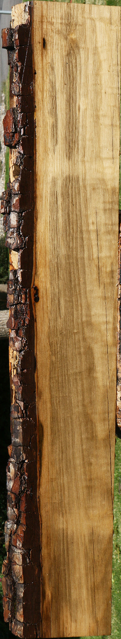 Figured Persimmon Live Edge Lumber