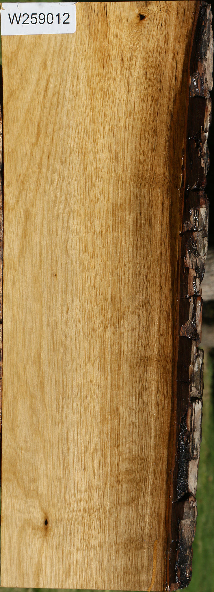 Figured Persimmon Live Edge Lumber