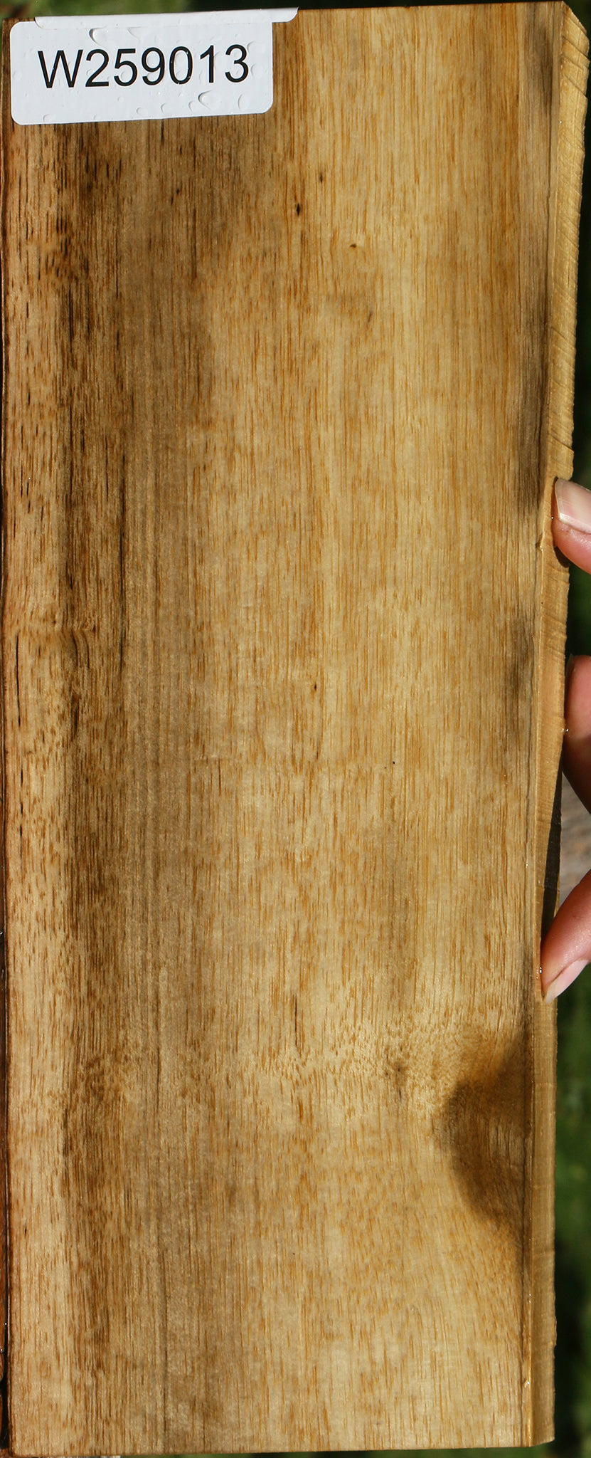 Persimmon Live Edge Lumber