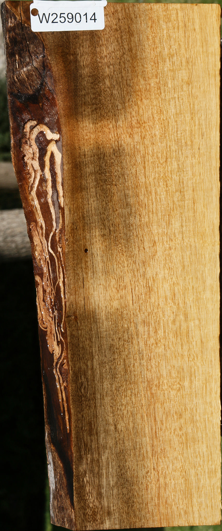 Figured Persimmon Live Edge Lumber