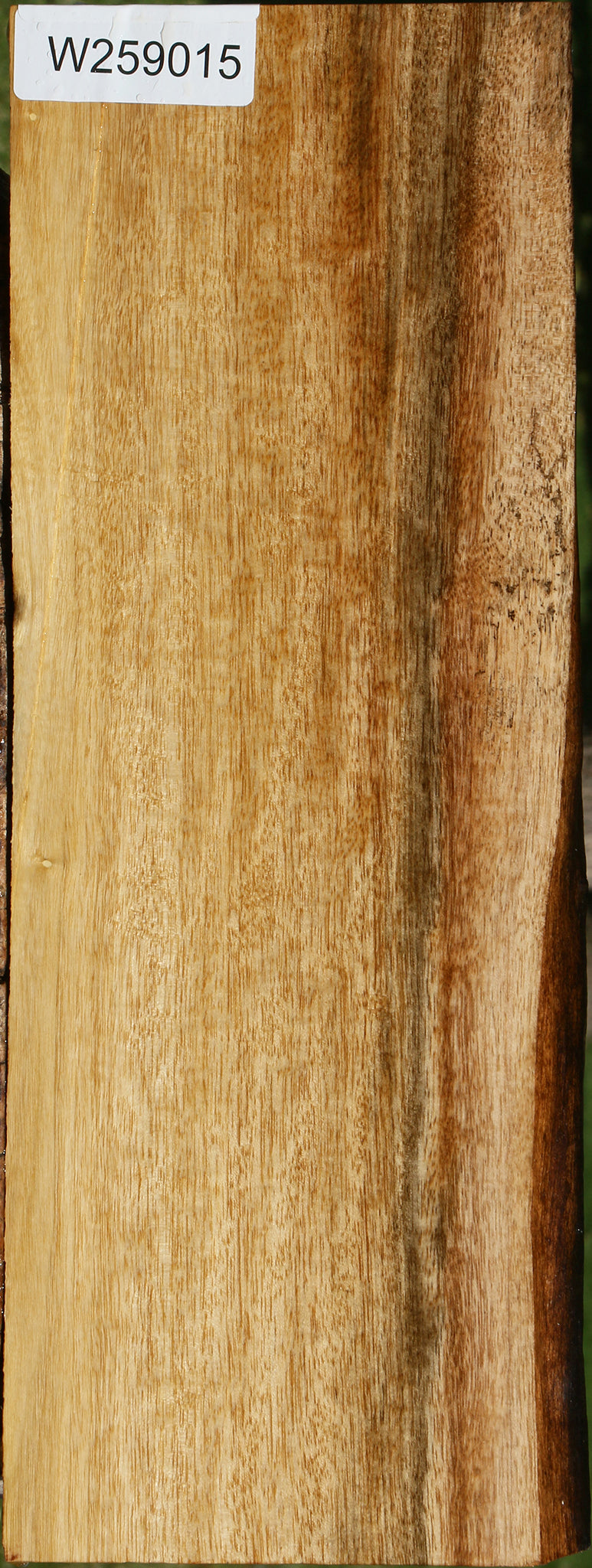 Figured Quartersawn Persimmon Live Edge Lumber