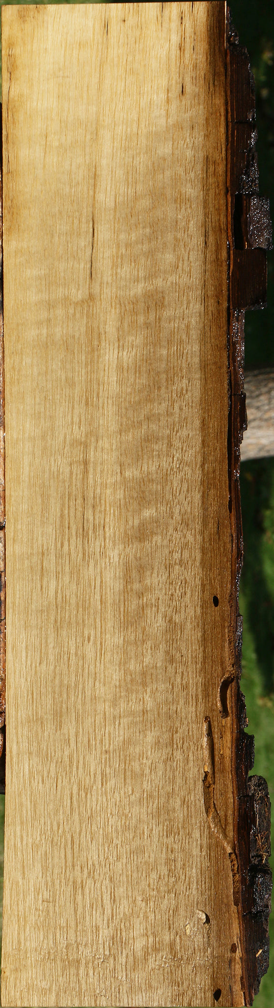 Figured Persimmon Live Edge Lumber
