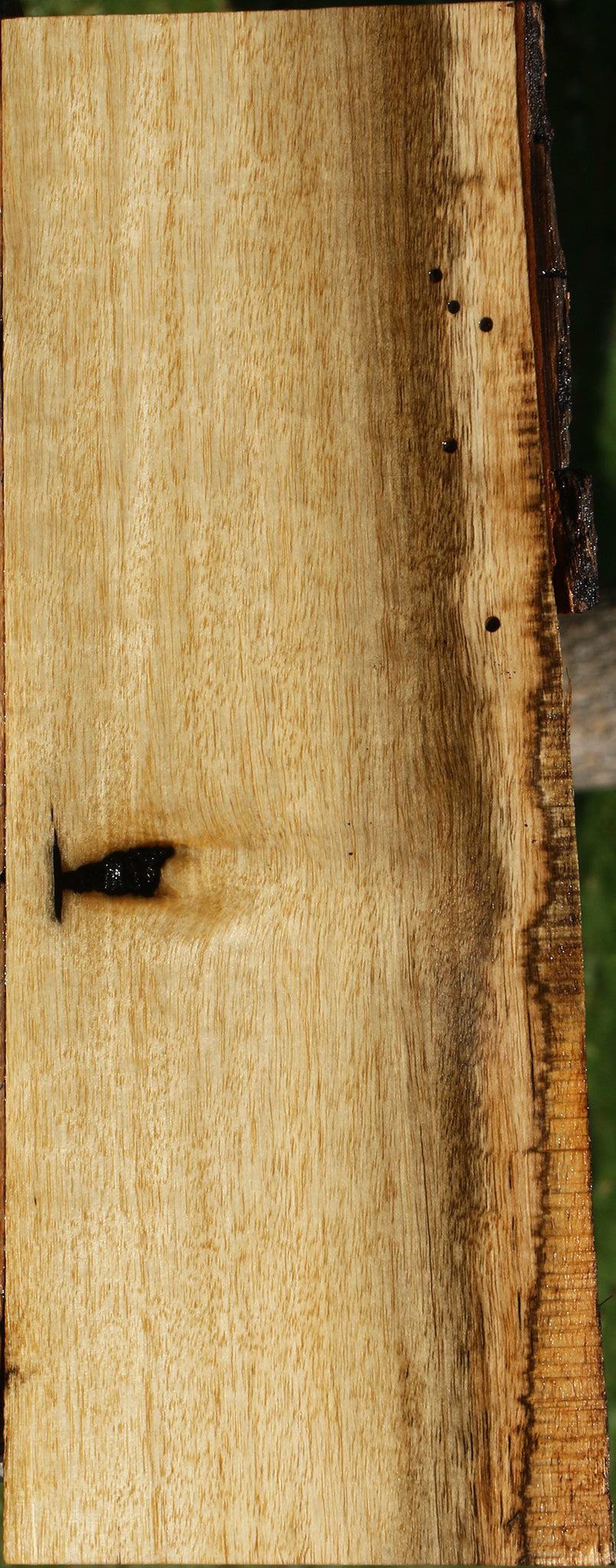 Persimmon Live Edge Lumber