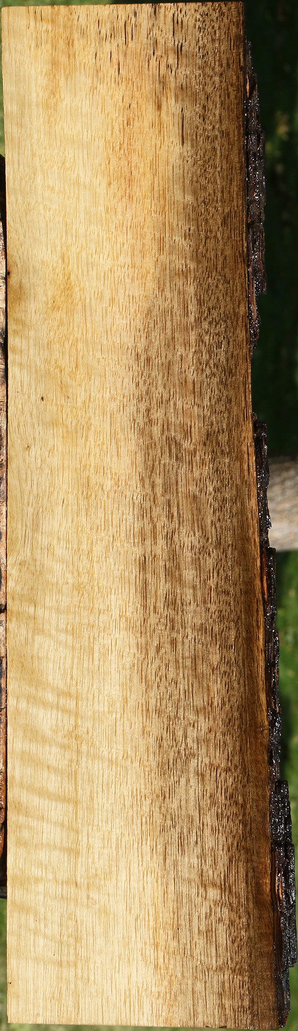 Extra Fancy Persimmon Live Edge Lumber