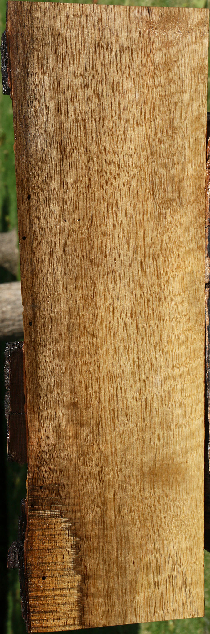 Figured Persimmon Live Edge Lumber
