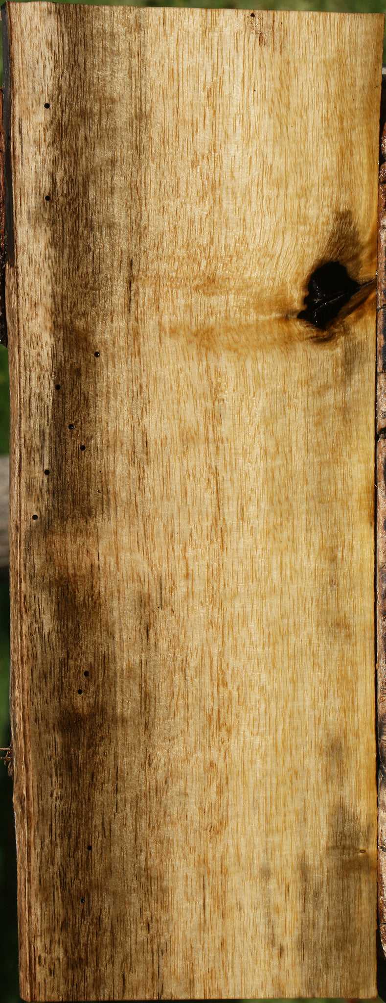 Persimmon Live Edge Lumber