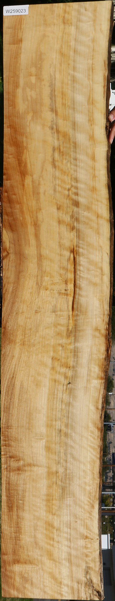 Extra Fancy Black Cottonwood Live Edge Lumber
