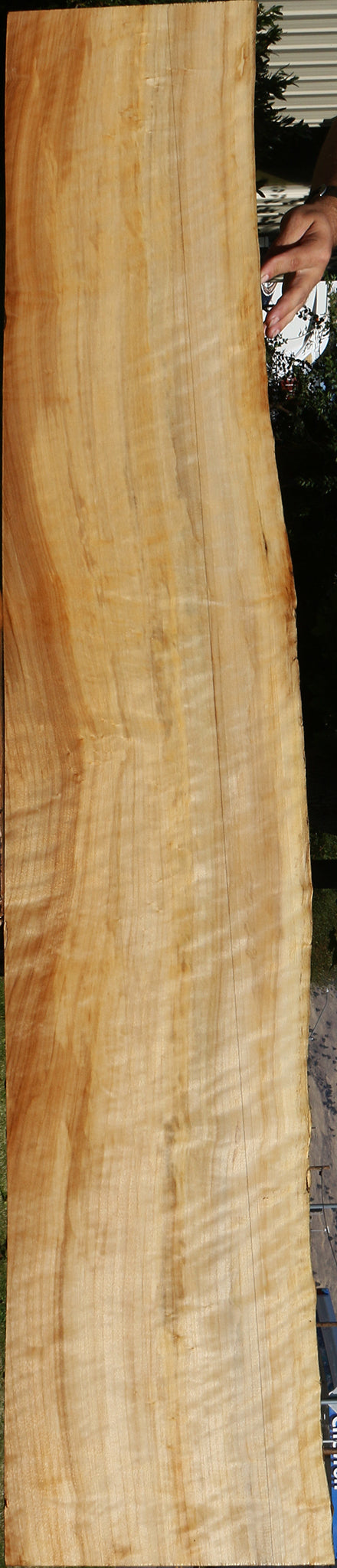 Extra Fancy Black Cottonwood Live Edge Lumber