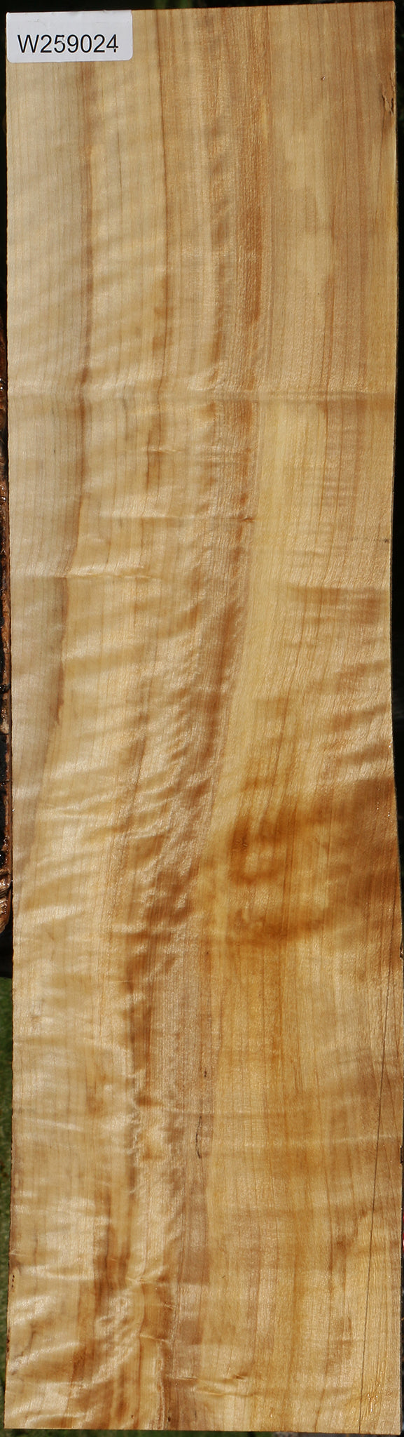 Extra Fancy Black Cottonwood Lumber
