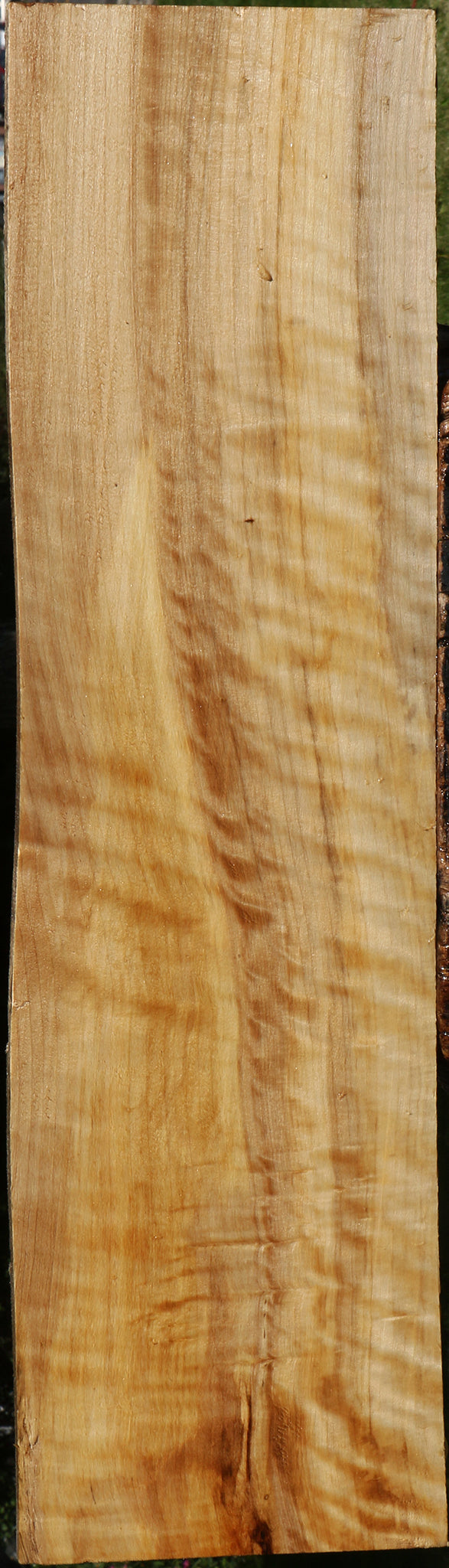 Extra Fancy Black Cottonwood Lumber