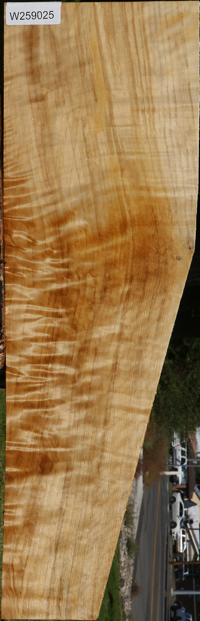 Extra Fancy Black Cottonwood Lumber