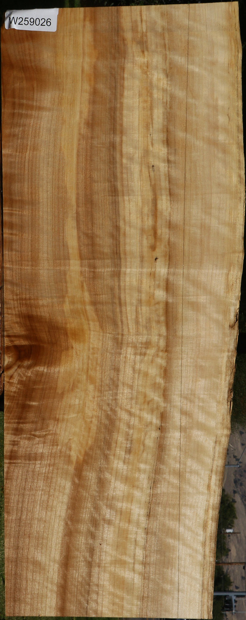 Figured Black Cottonwood Live Edge Lumber