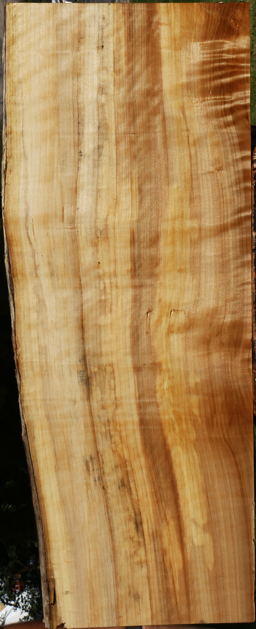 Figured Black Cottonwood Live Edge Lumber
