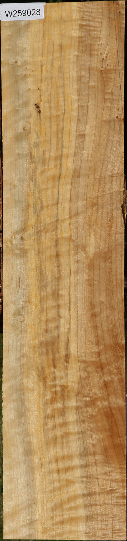 Extra Fancy Black Cottonwood Lumber
