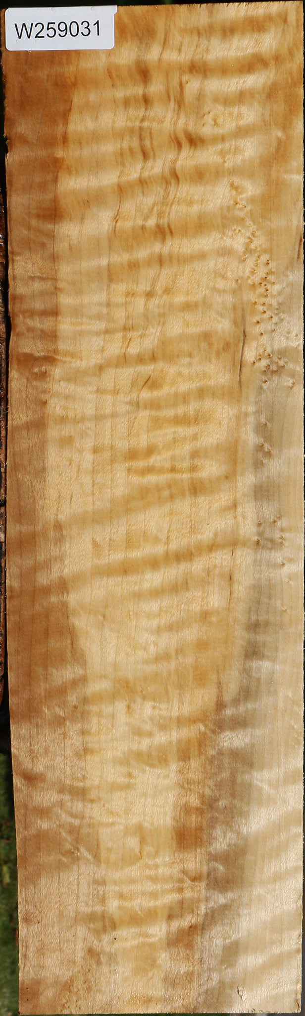 Extra Fancy Black Cottonwood Lumber