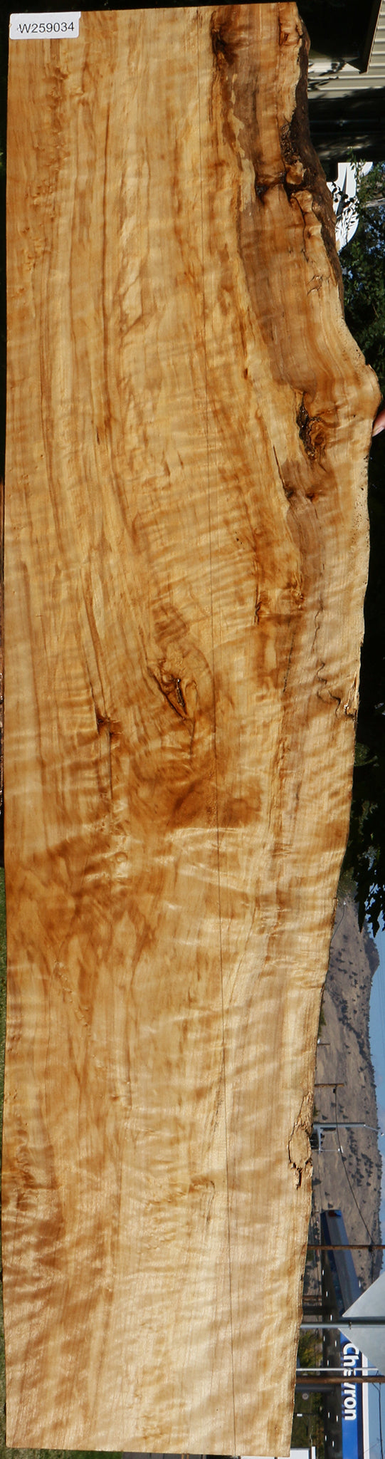 Extra Fancy Black Cottonwood Live Edge Lumber