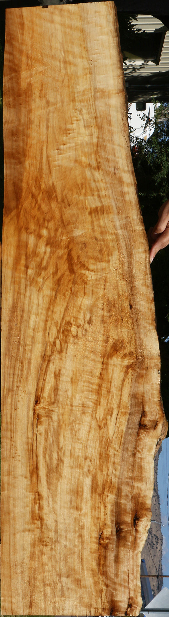 Extra Fancy Black Cottonwood Live Edge Lumber
