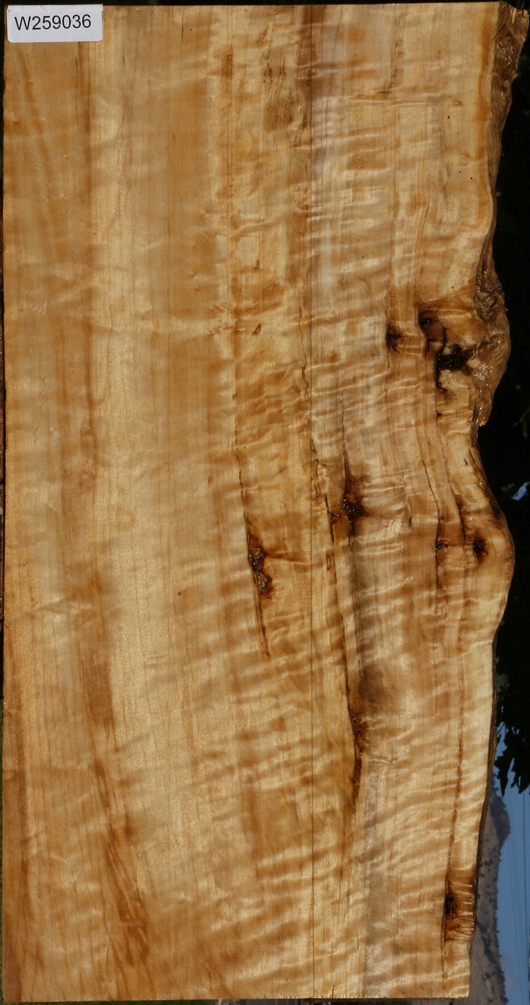 Extra Fancy Black Cottonwood Live Edge Lumber