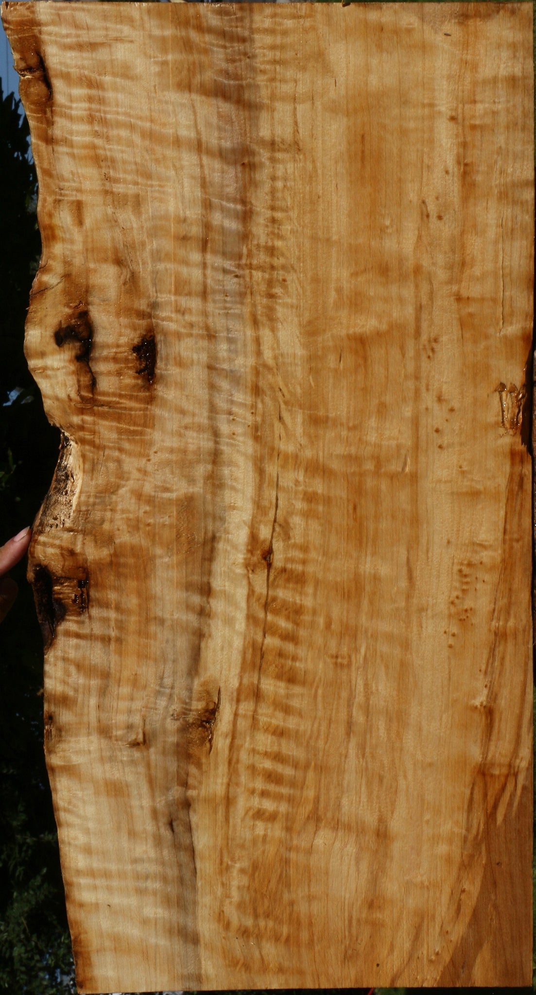 Extra Fancy Black Cottonwood Live Edge Lumber