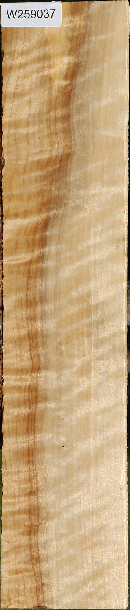 Extra Fancy Black Cottonwood Lumber