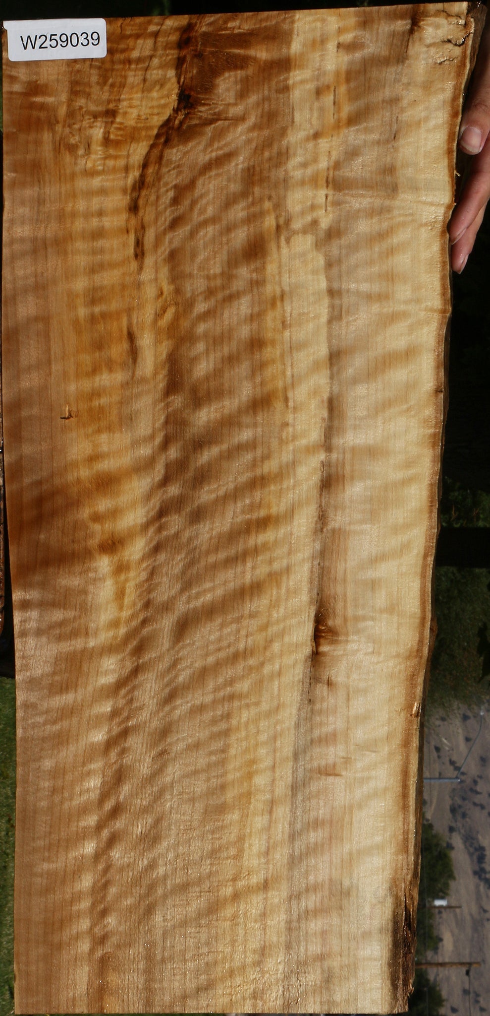 Extra Fancy Black Cottonwood Live Edge Lumber