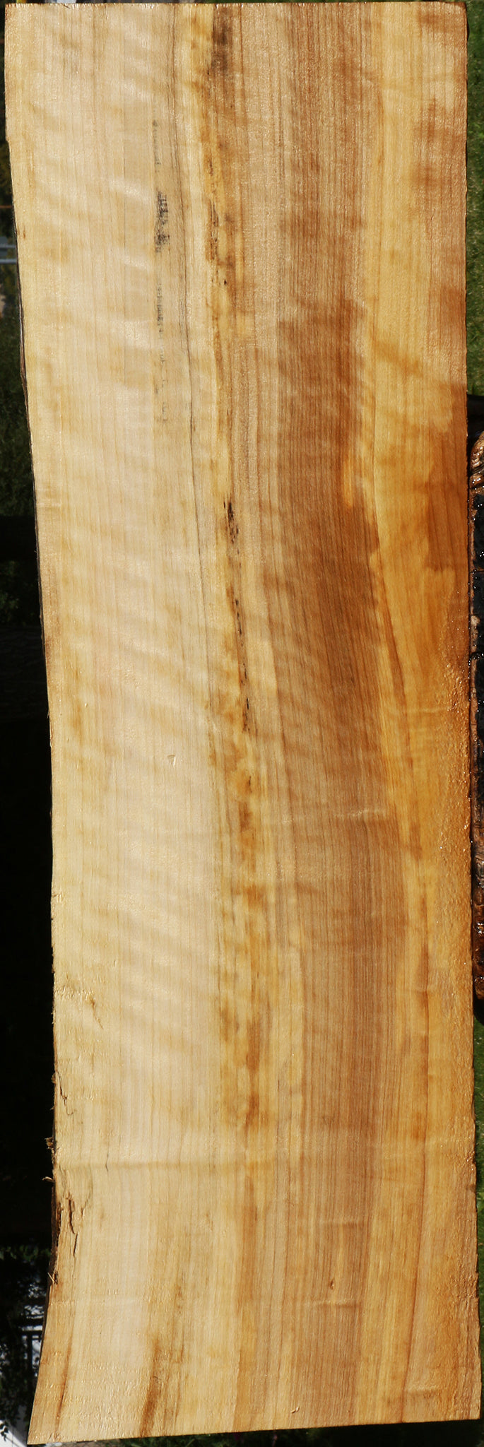Extra Fancy Black Cottonwood Live Edge Lumber