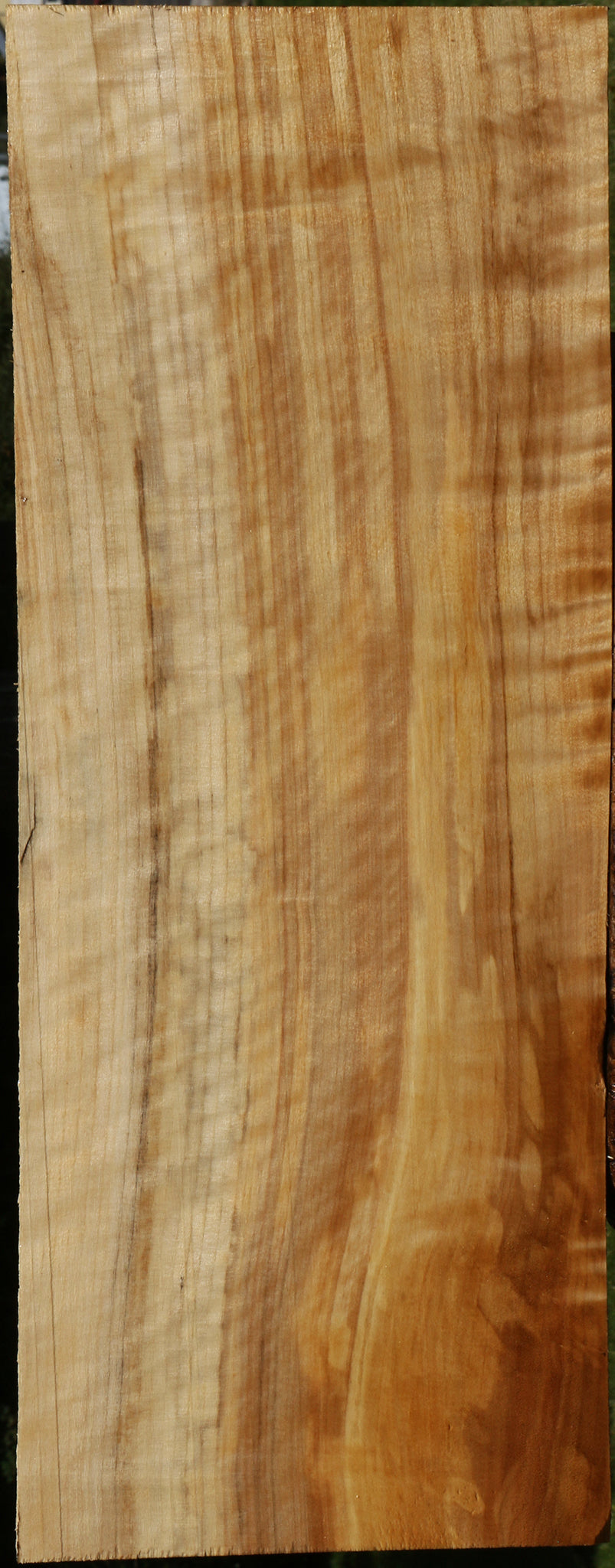 Figured Black Cottonwood Lumber