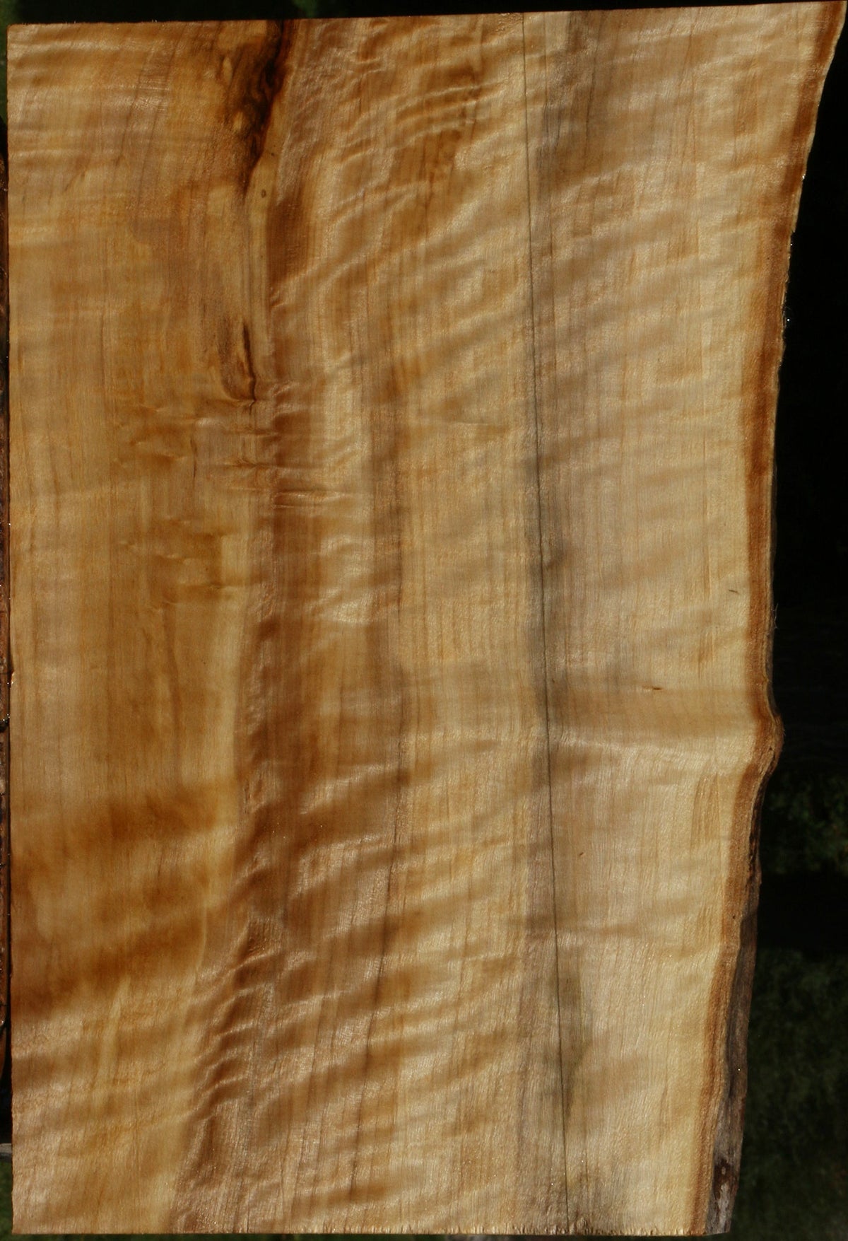 Extra Fancy Black Cottonwood Live Edge Lumber