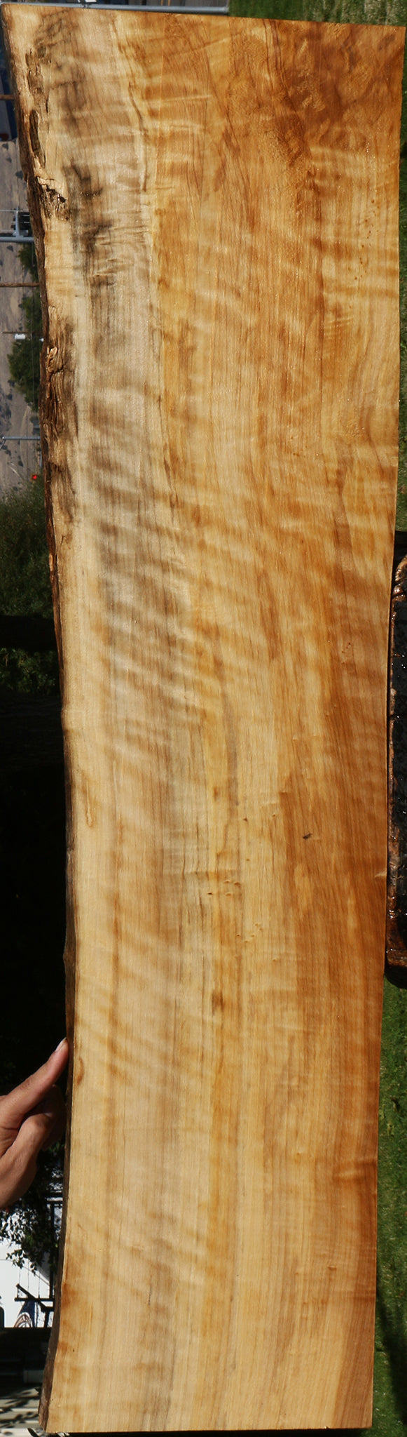 Extra Fancy Black Cottonwood Live Edge Lumber