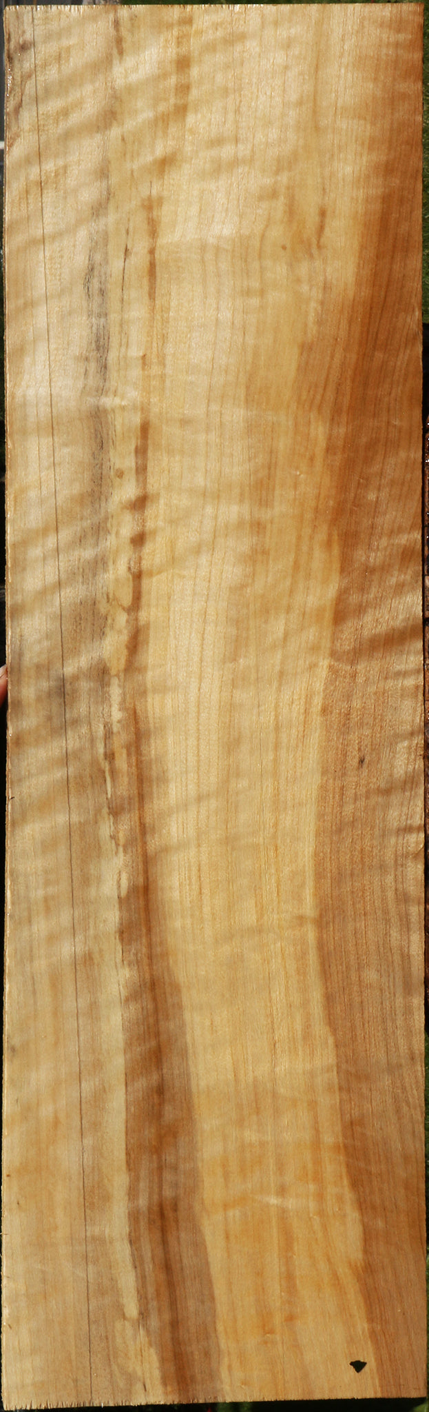 Extra Fancy Black Cottonwood Lumber