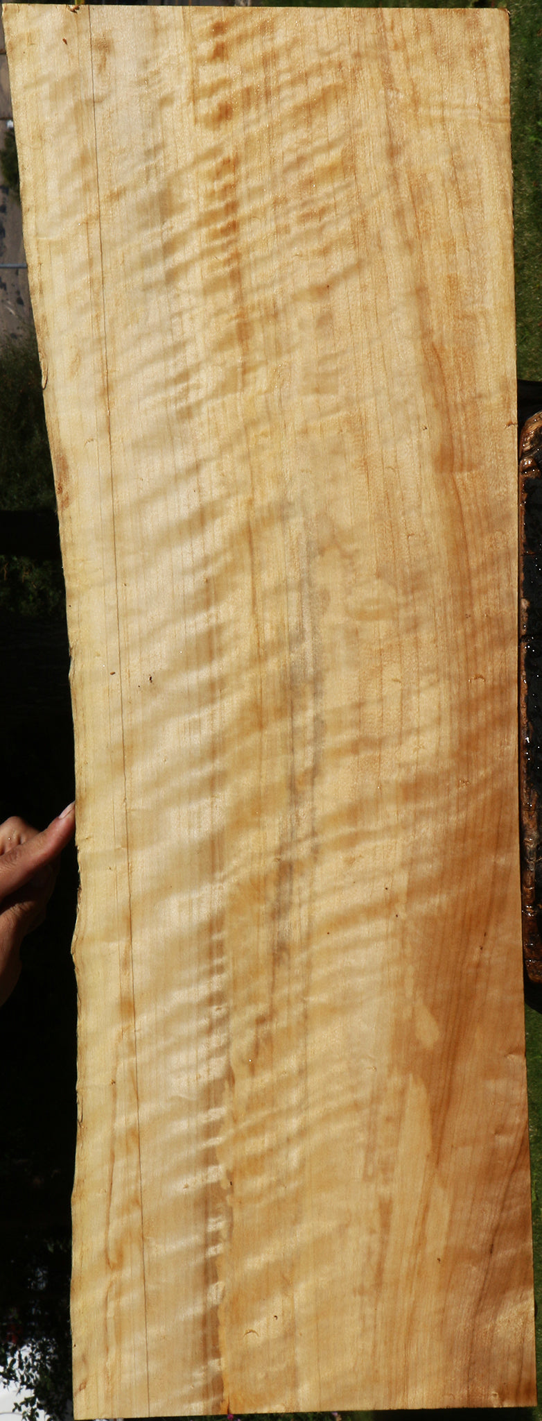 Extra Fancy Black Cottonwood Live Edge Lumber