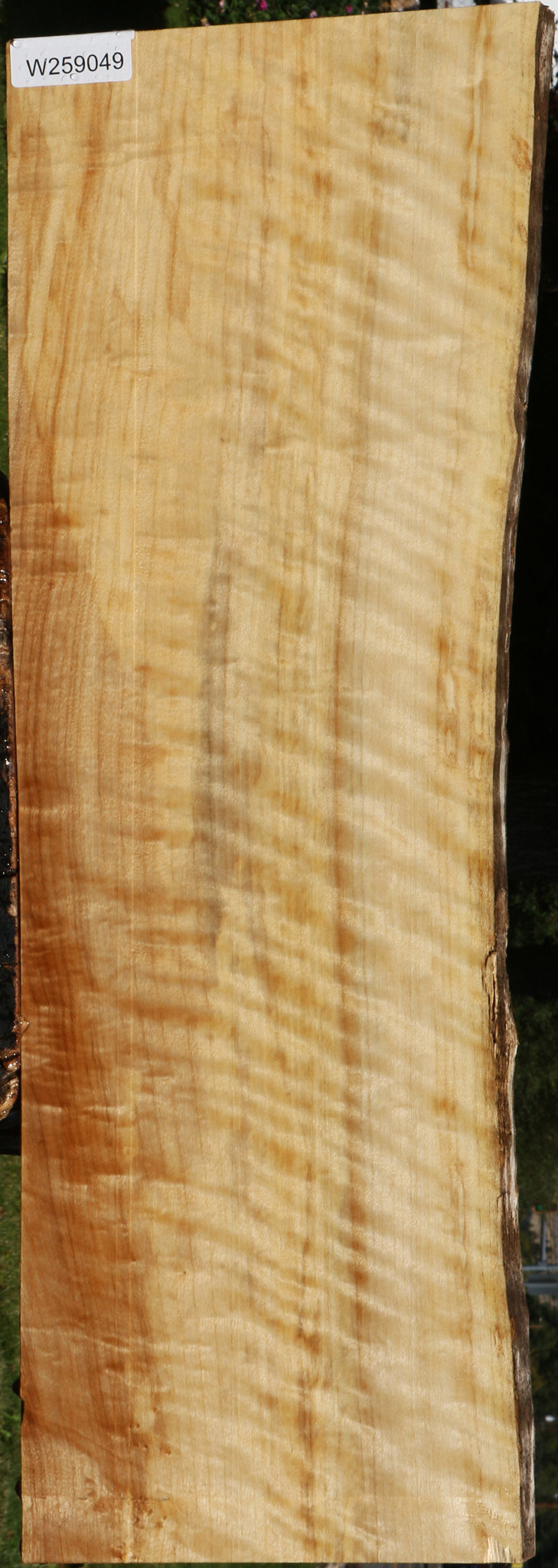 Extra Fancy Black Cottonwood Live Edge Lumber