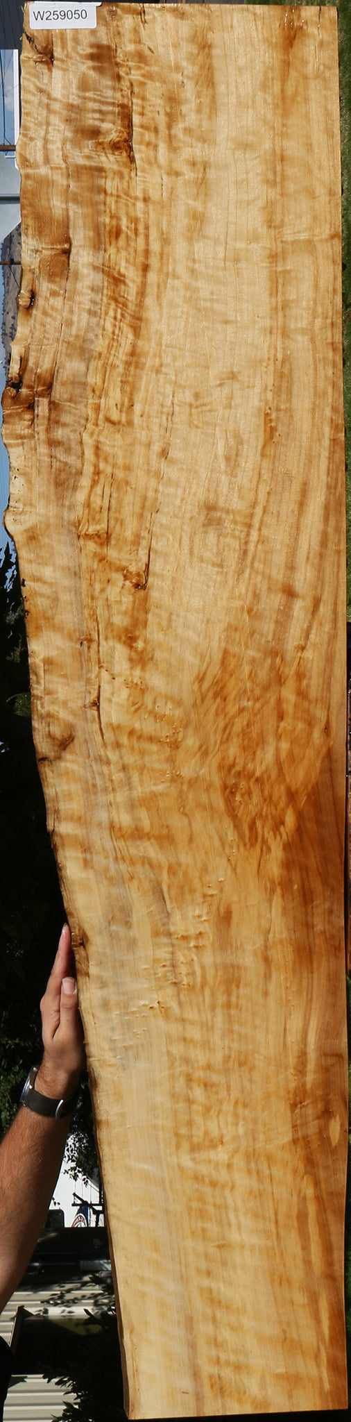 Extra Fancy Black Cottonwood Live Edge Lumber