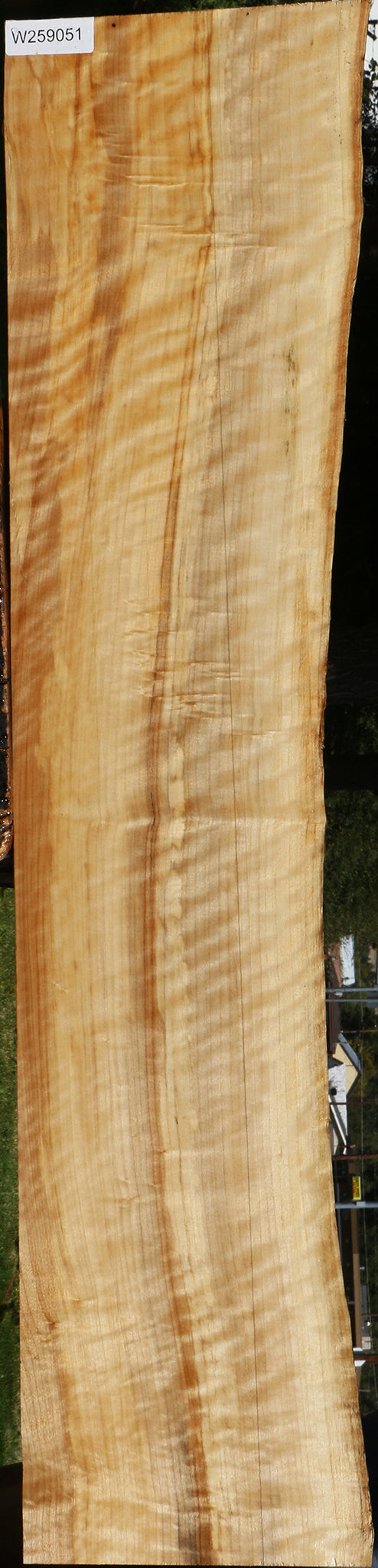 Extra Fancy Black Cottonwood Live Edge Lumber
