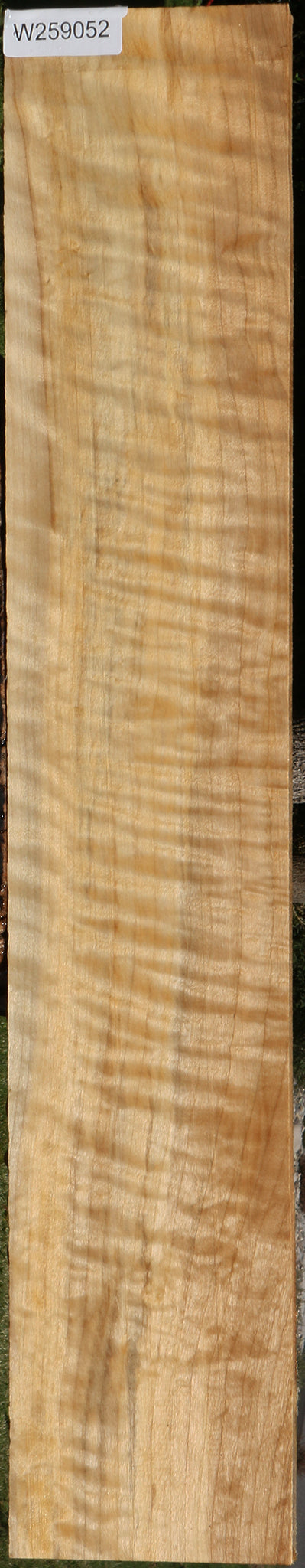 Extra Fancy Black Cottonwood Lumber