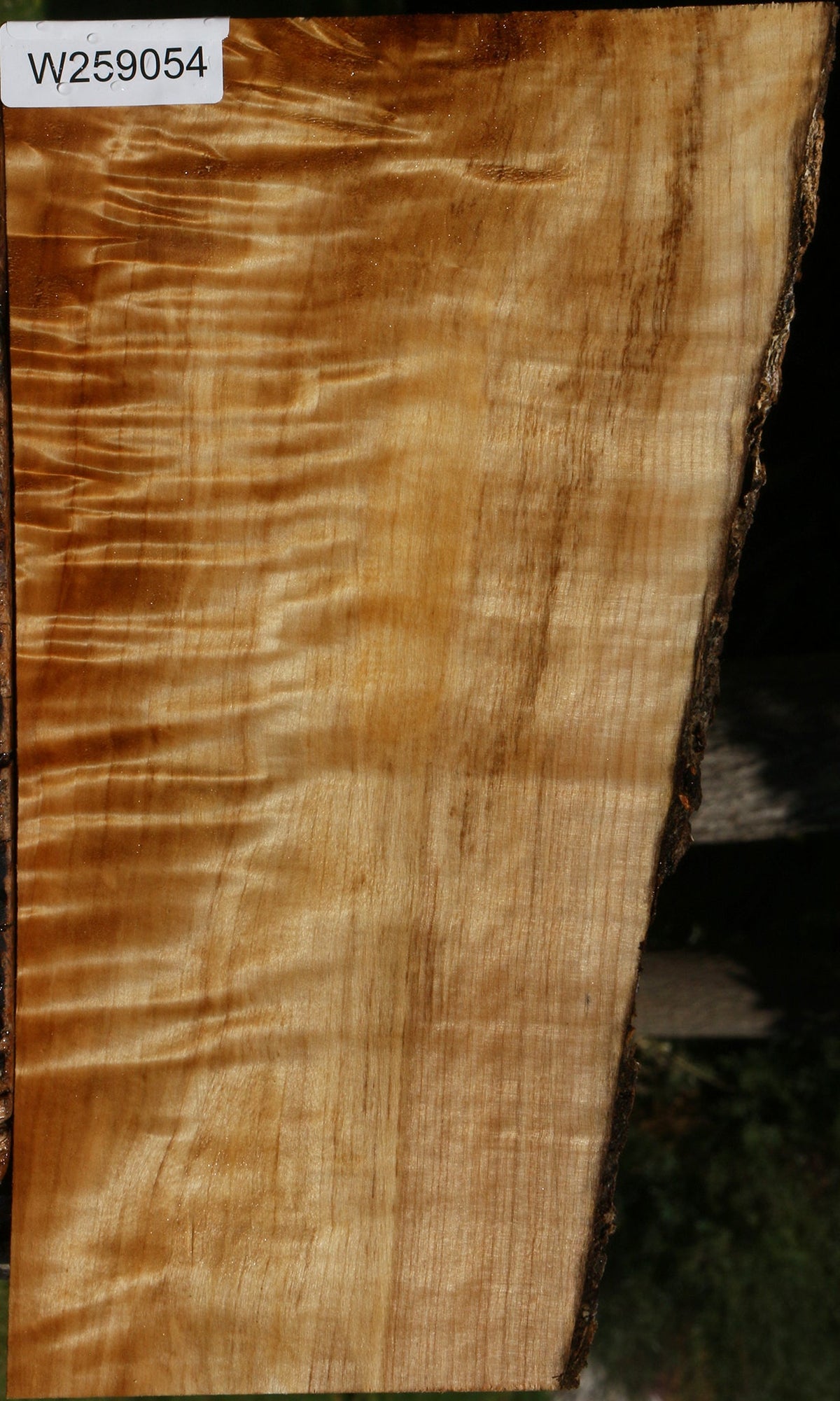 Extra Fancy Black Cottonwood Live Edge Lumber