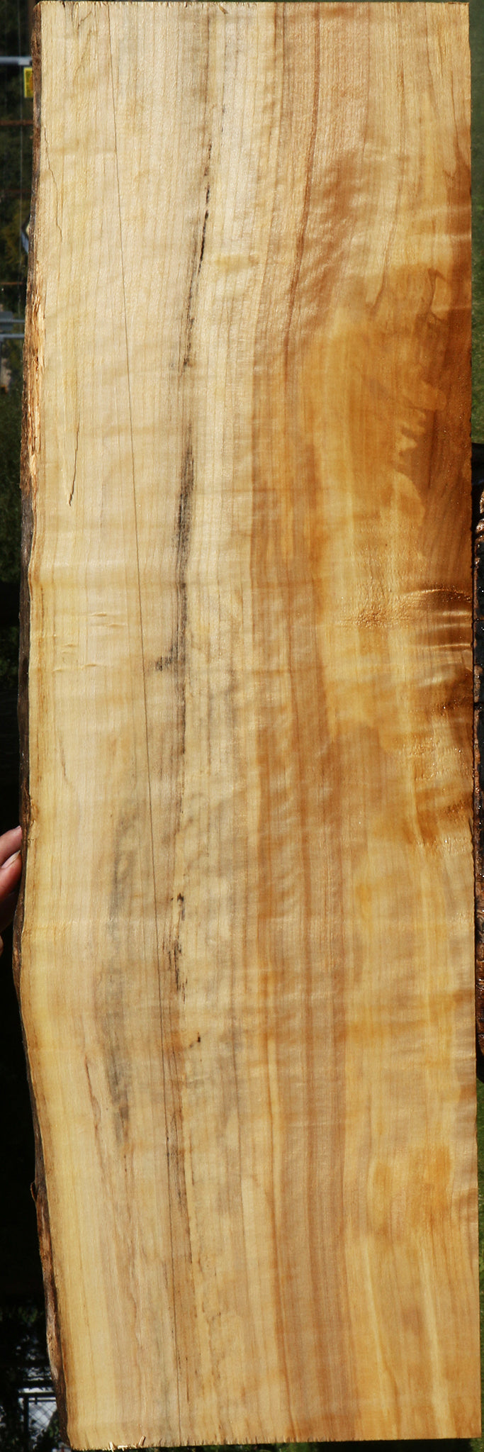Figured Black Cottonwood Live Edge Lumber