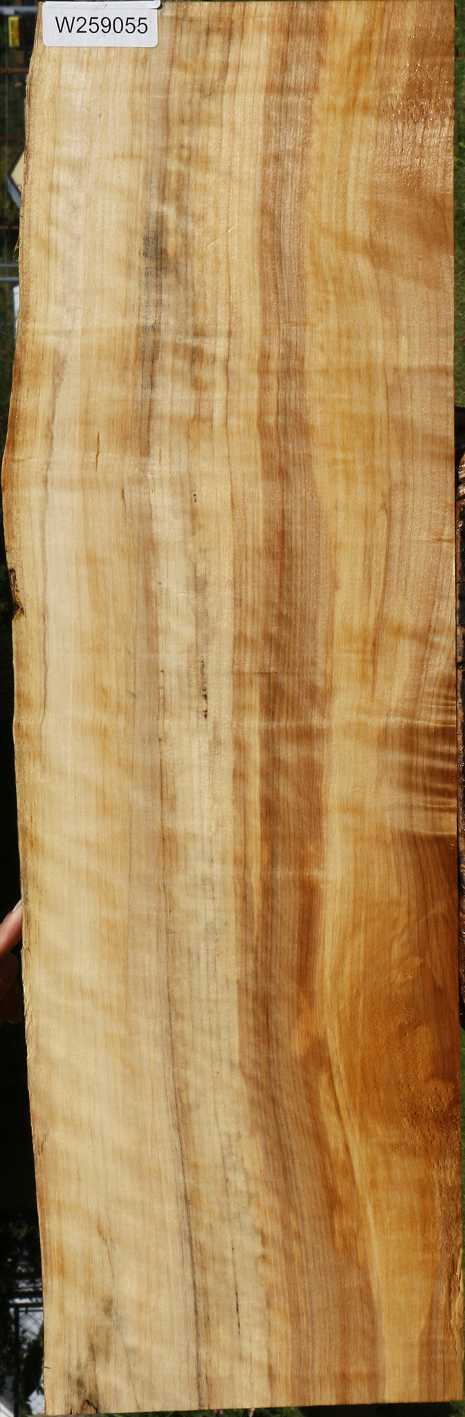 Figured Black Cottonwood Live Edge Lumber