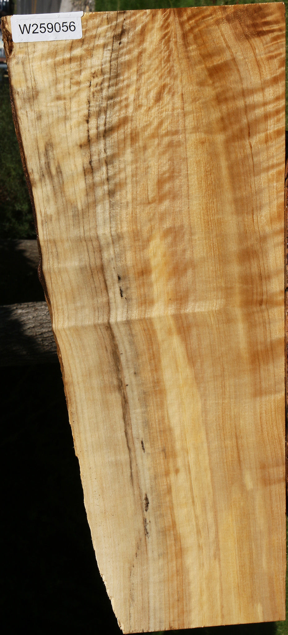 Figured Black Cottonwood Live Edge Lumber